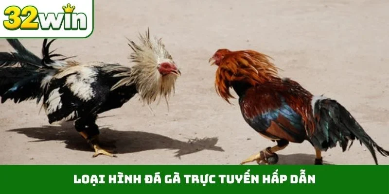 Loại hình đá gà trực tuyến hấp dẫn